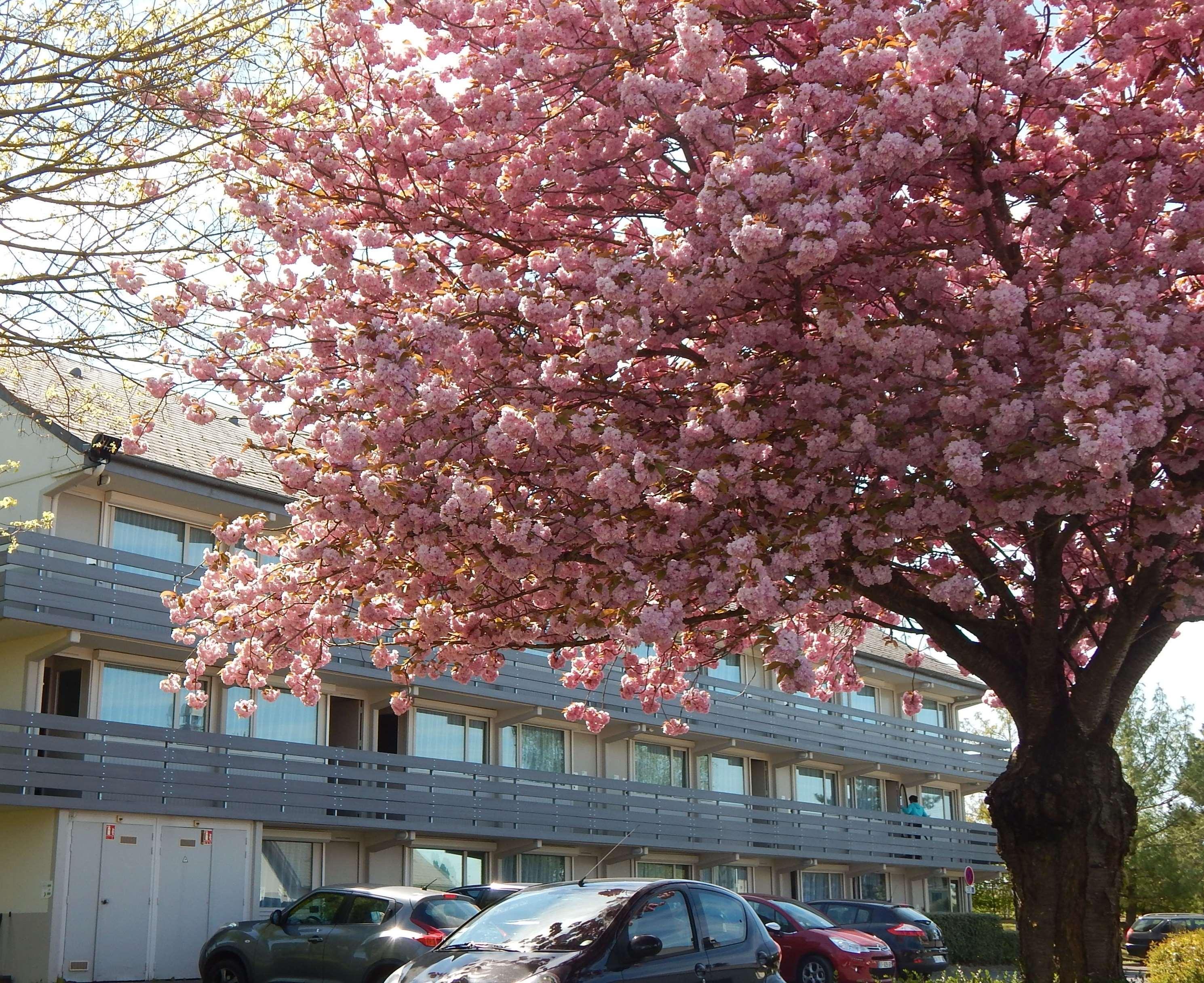 Campanile Reims Est - Taissy Hotel Exterior photo
